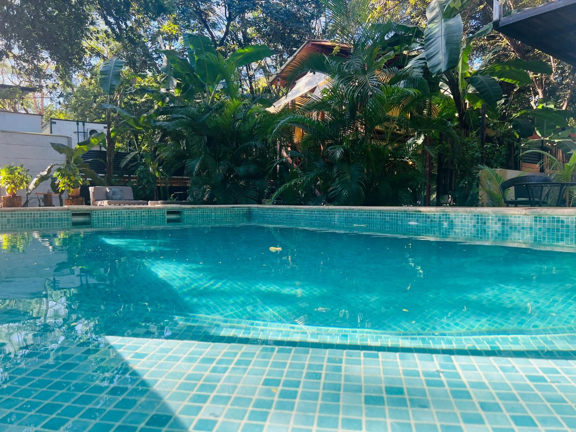 Calipso Ocean Lodge- Avellana Beach Hotel ปลายา อาเบญานา ภายนอก รูปภาพ